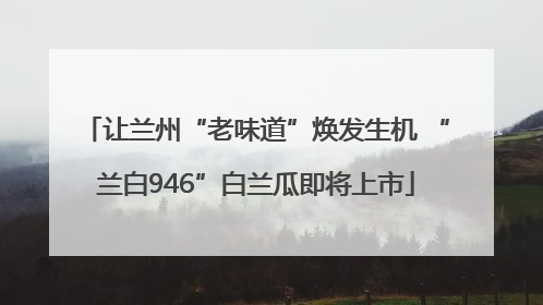 让兰州“老味道”焕发生机 “兰白946”白兰瓜即将上市