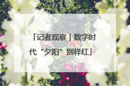 记者观察｜数字时代“夕阳”别样红