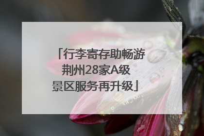 行李寄存助畅游 荆州28家A级景区服务再升级