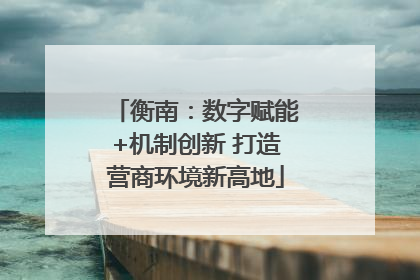 衡南：数字赋能+机制创新 打造营商环境新高地