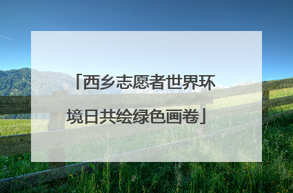 西乡志愿者世界环境日共绘绿色画卷