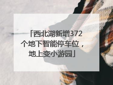 西北湖新增372个地下智能停车位，地上变小游园