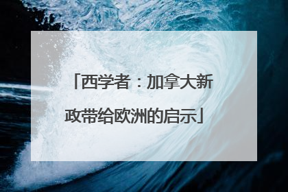 西学者：加拿大新政带给欧洲的启示