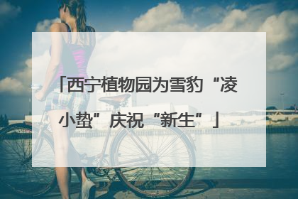 西宁植物园为雪豹“凌小蛰”庆祝“新生”