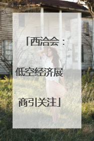 西洽会：低空经济展商引关注