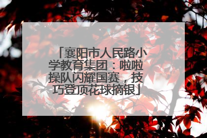 襄阳市人民路小学教育集团：啦啦操队闪耀国赛，技巧登顶花球摘银