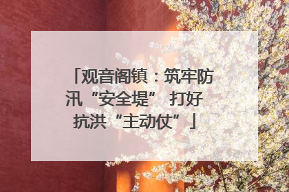 观音阁镇：筑牢防汛“安全堤” 打好抗洪“主动仗”