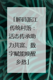 解码浙江传统村落：活态传承助力共富、数字赋能唤醒乡愁