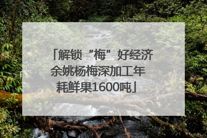 解锁“梅”好经济 余姚杨梅深加工年耗鲜果1600吨