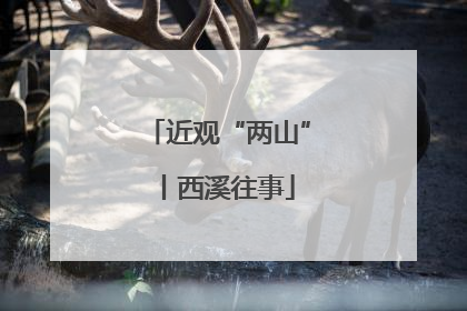近观“两山”丨西溪往事