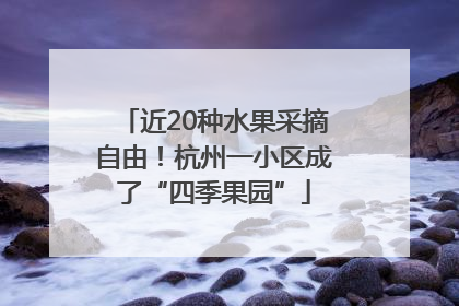近20种水果采摘自由！杭州一小区成了“四季果园”