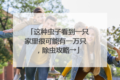 这种虫子看到一只家里很可能有一万只，除虫攻略→