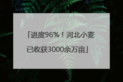 进度96%！河北小麦已收获3000余万亩