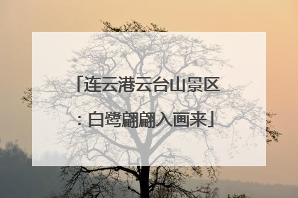 连云港云台山景区：白鹭翩翩入画来
