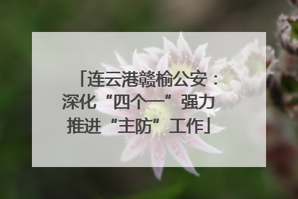 连云港赣榆公安：深化“四个一”强力推进“主防”工作