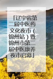 辽宁省第二届中医药文化夜市（锦州站）暨锦州市第二届中医康养夜市启幕