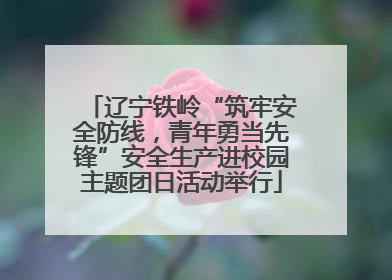 辽宁铁岭“筑牢安全防线，青年勇当先锋”安全生产进校园主题团日活动举行