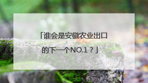 谁会是安徽农业出口的下一个NO.1？