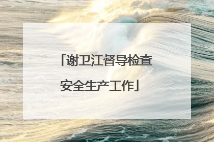 谢卫江督导检查安全生产工作