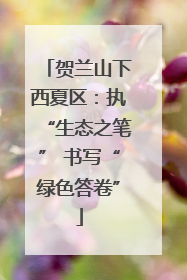 贺兰山下西夏区：执“生态之笔” 书写“绿色答卷”