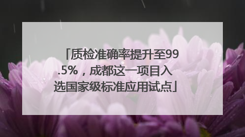 质检准确率提升至99.5%，成都这一项目入选国家级标准应用试点