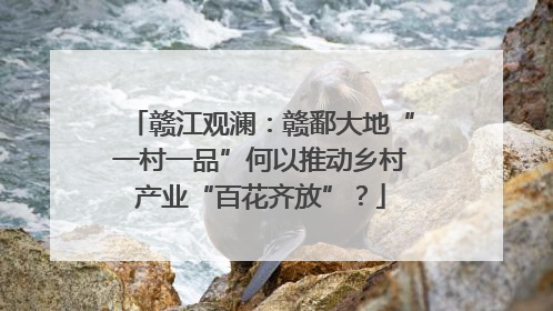 赣江观澜：赣鄱大地“一村一品”何以推动乡村产业“百花齐放”？