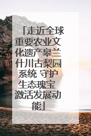 走近全球重要农业文化遗产皋兰什川古梨园系统 守护生态瑰宝 激活发展动能