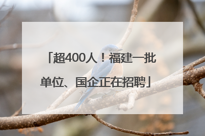 超400人！福建一批单位、国企正在招聘