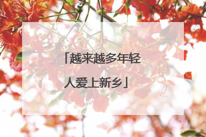 越来越多年轻人爱上新乡