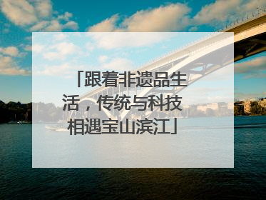 跟着非遗品生活，传统与科技相遇宝山滨江