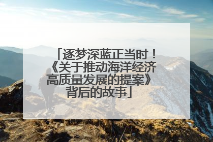 逐梦深蓝正当时！《关于推动海洋经济高质量发展的提案》背后的故事