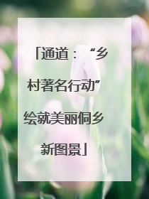 通道：“乡村著名行动”绘就美丽侗乡新图景