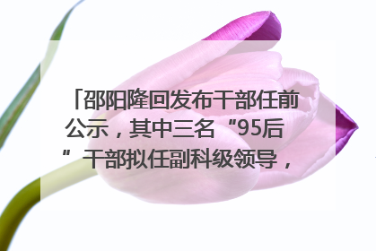 邵阳隆回发布干部任前公示，其中三名“95后”干部拟任副科级领导，均系硕士选调生