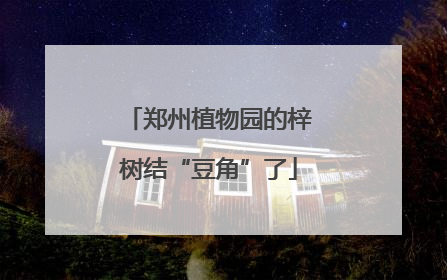 郑州植物园的梓树结“豆角”了