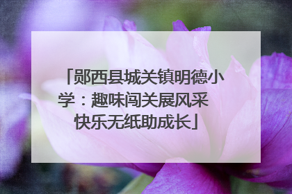郧西县城关镇明德小学：趣味闯关展风采 快乐无纸助成长