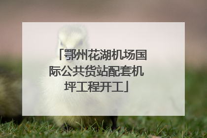 鄂州花湖机场国际公共货站配套机坪工程开工