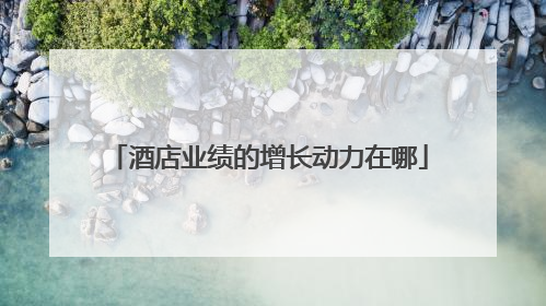 酒店业绩的增长动力在哪