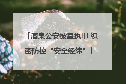 酒泉公安披星执甲 织密防控“安全经纬”