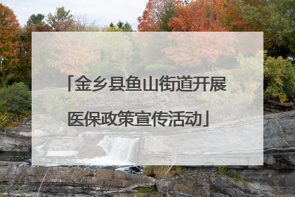金乡县鱼山街道开展医保政策宣传活动