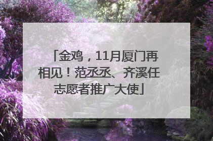 金鸡，11月厦门再相见！范丞丞、齐溪任志愿者推广大使