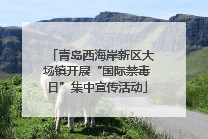 青岛西海岸新区大场镇开展“国际禁毒日”集中宣传活动