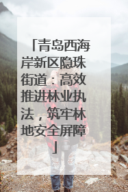 青岛西海岸新区隐珠街道：高效推进林业执法，筑牢林地安全屏障