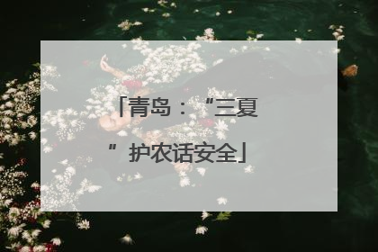 青岛：“三夏”护农话安全
