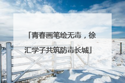 青春画笔绘无毒，徐汇学子共筑防毒长城