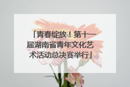 青春绽放！第十一届湖南省青年文化艺术活动总决赛举行