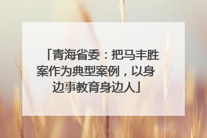 青海省委：把马丰胜案作为典型案例，以身边事教育身边人