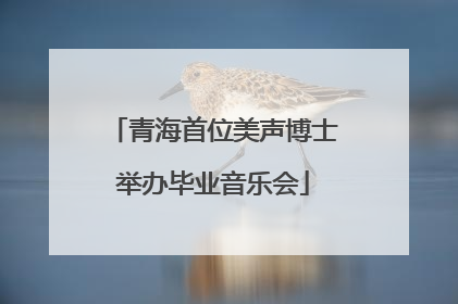 青海首位美声博士举办毕业音乐会