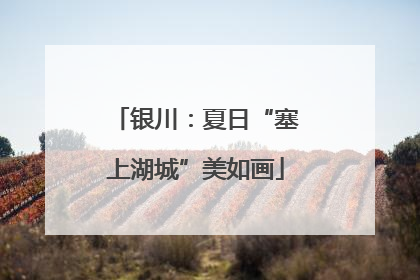 银川：夏日“塞上湖城”美如画