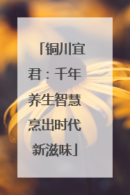 铜川宜君：千年养生智慧烹出时代新滋味
