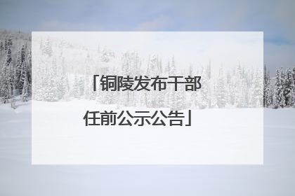 铜陵发布干部任前公示公告